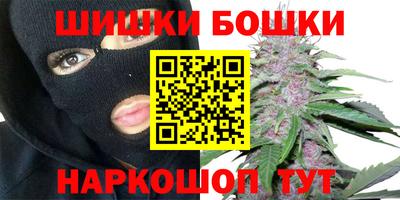 прущие грибы Будённовск