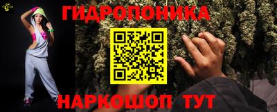 прущие грибы Будённовск