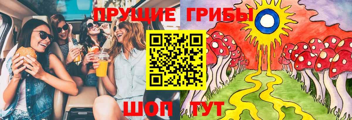 Троицк  Галлюциногенные грибы Psilocybine cubensis  Вход с VPN 