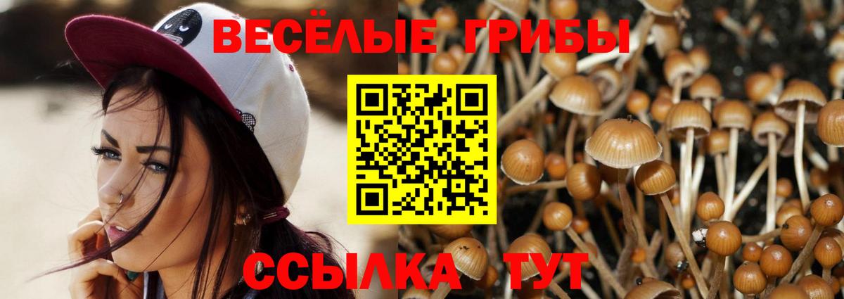 Галлюциногенные грибы прущие грибы Троицк